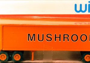 WINROSS MUSHROOM TRACTOR AND TRAILER TRUCK