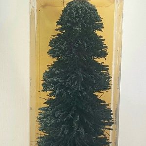 LGB 1906 EVERGREEN WINTER FIR TREE